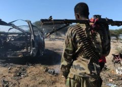 Somalidə “əş-Şəbab” qruplaşmasının 25 üzvü öldürülüb
