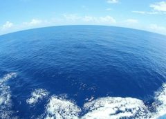 Okeanların turşulaşma səviyyəsi planetar hədləri keçib…