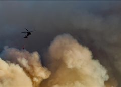 Türkiyədə yanğınlarla əlaqədar 21 şübhəli həbs edilib